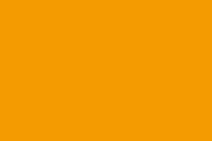 カラー：蛍光オレンジ