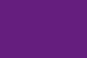 カラー：紫